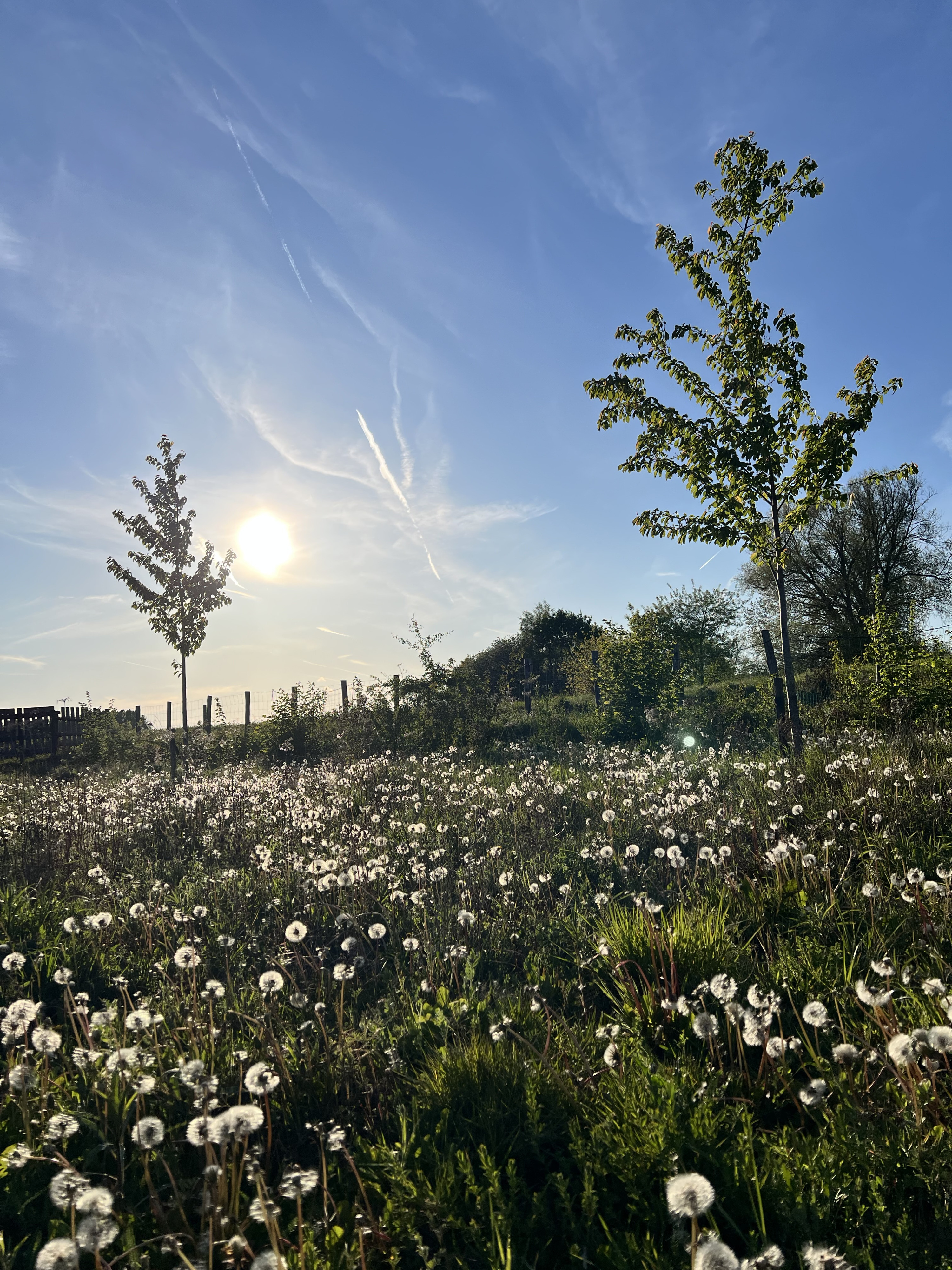 Tuin land van troost