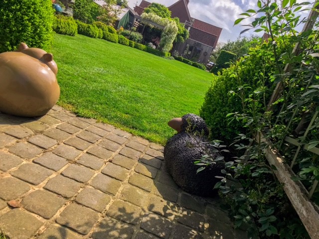 tuin 5.jpg tuin 5.jpg