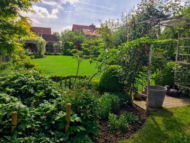 tuin 6.jpg tuin 6.jpg