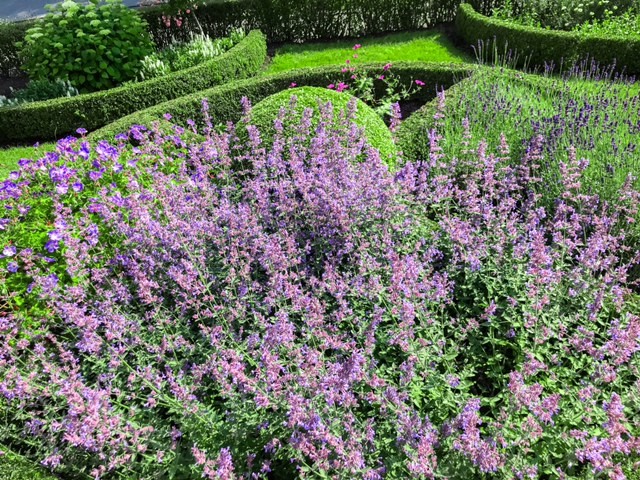 tuin 7.jpg tuin 7.jpg