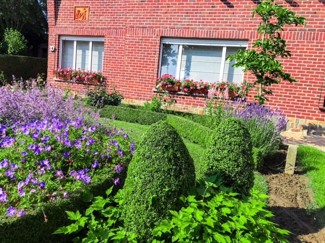 tuin 8.jpg tuin 8.jpg
