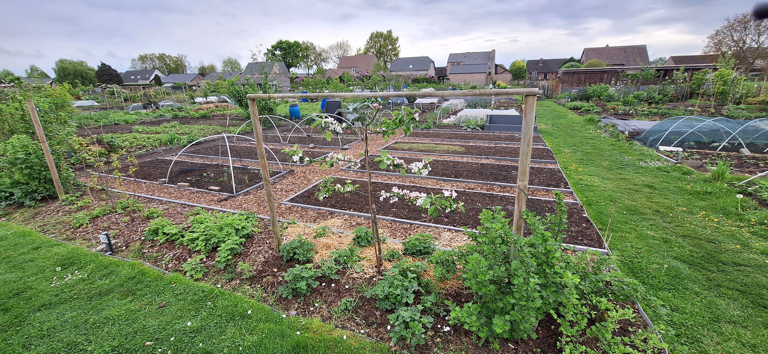 tuin1.jpg tuin1.jpg