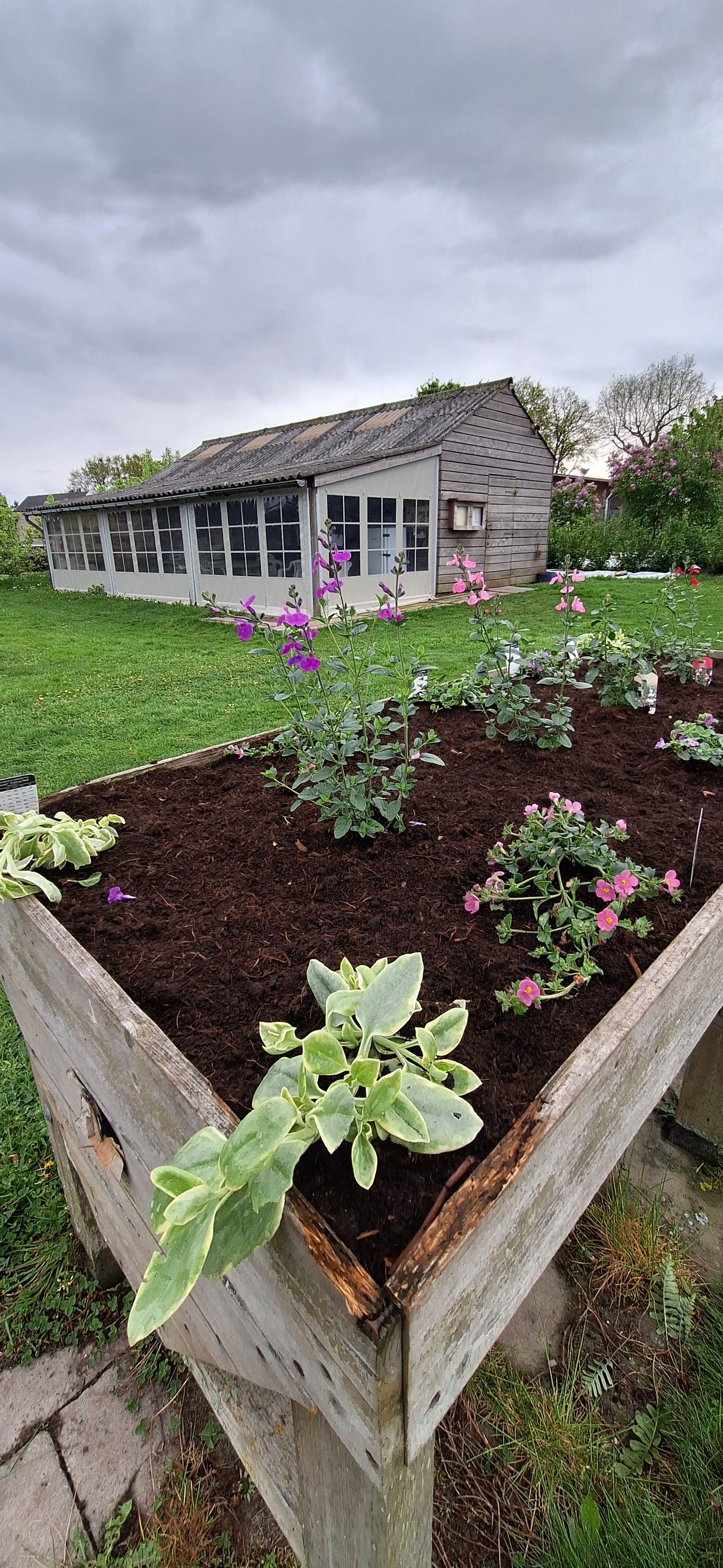 tuin2.jpg tuin2.jpg