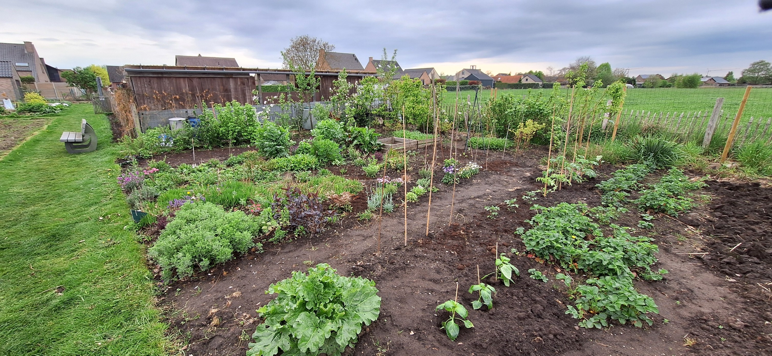 tuin3.jpg tuin3.jpg