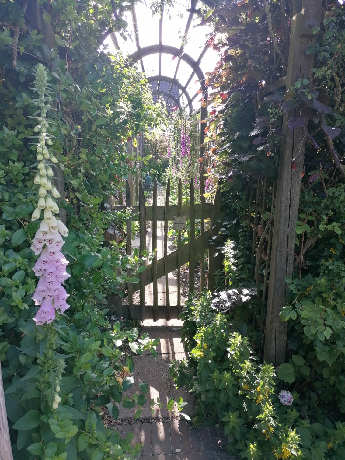 tuin2.jpg tuin2.jpg