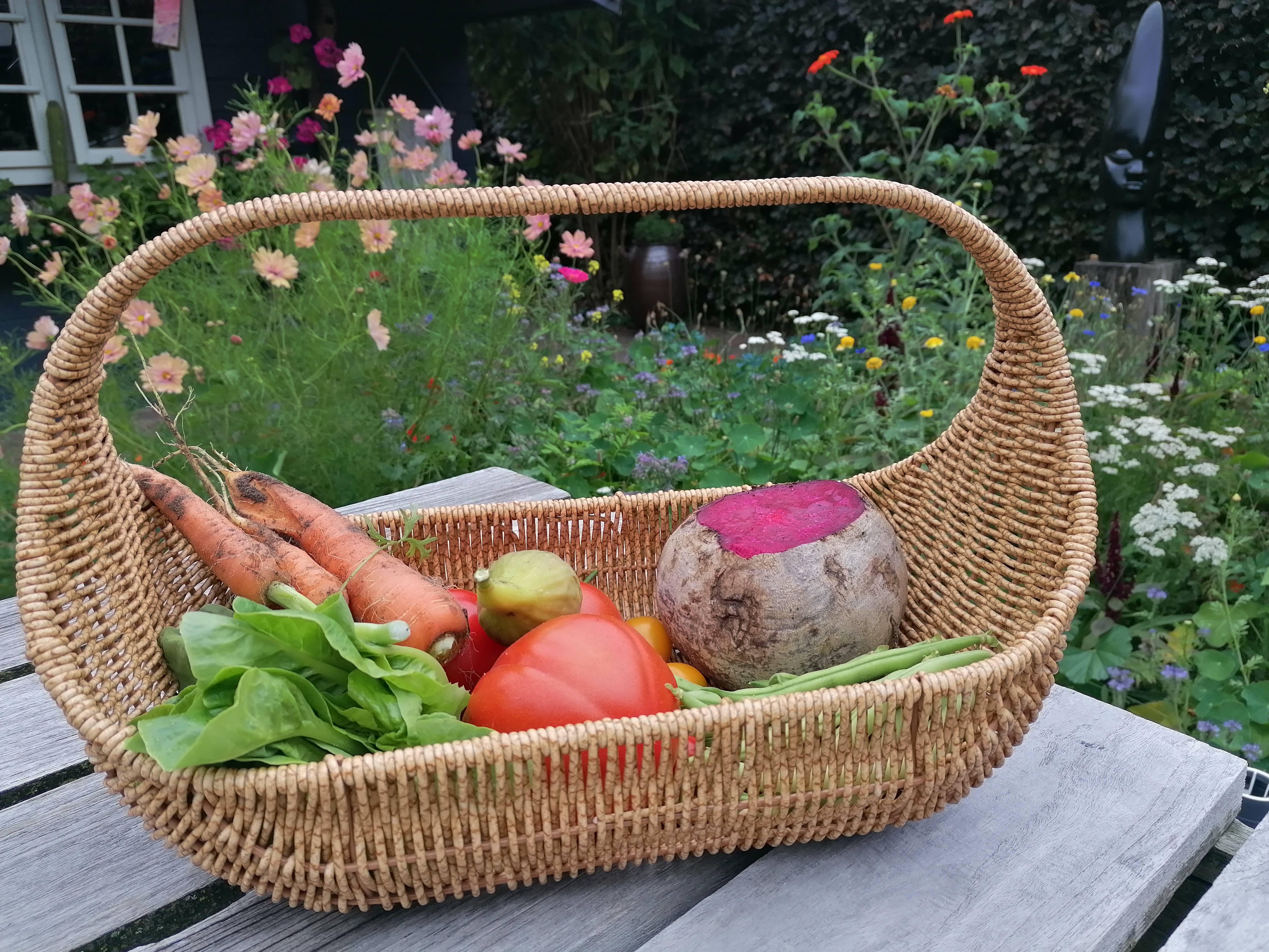 tuin5.jpg tuin5.jpg